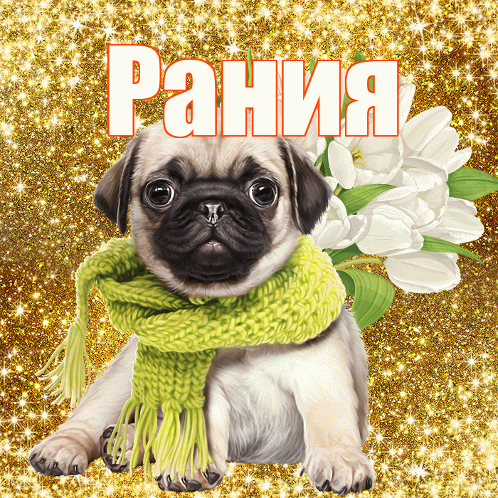 Рания! С первым воскресеньем весны! Красивая открытка Рании!
