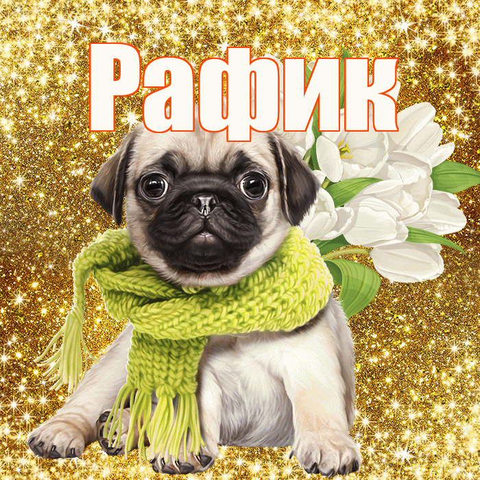 Рафик! С первым воскресеньем весны! Красивая открытка Рафику!