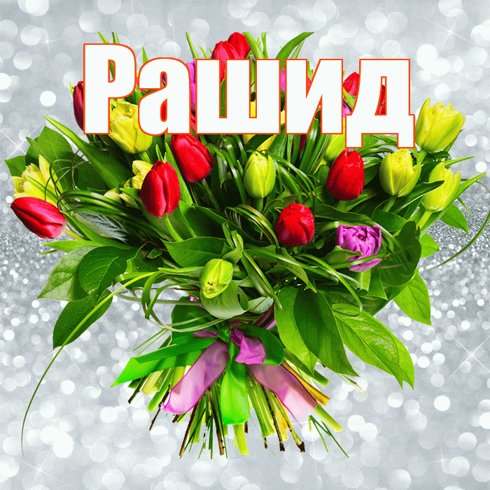 Рашид! С первым воскресеньем весны! Красивая открытка Рашиду!