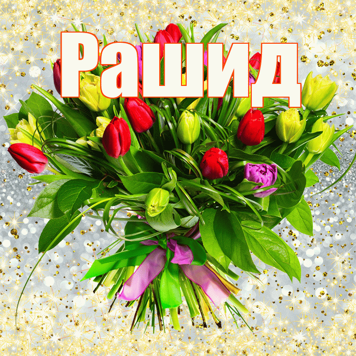 Рашид! С первым воскресеньем весны! Красивая открытка Рашиду!