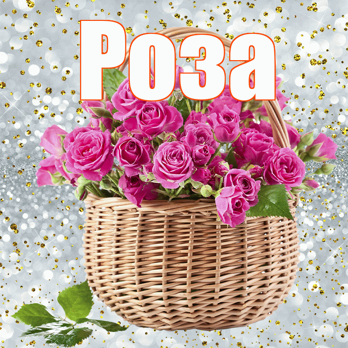 Роза! С первым воскресеньем весны! Красивая открытка Розе!