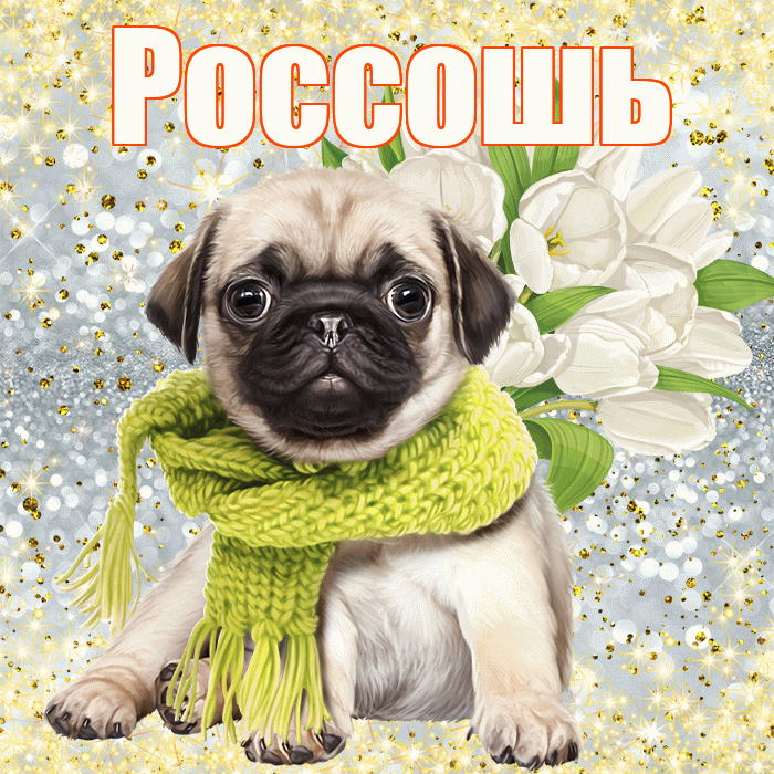 Россошь! С первым воскресеньем весны! Красивая открытка Россошю!