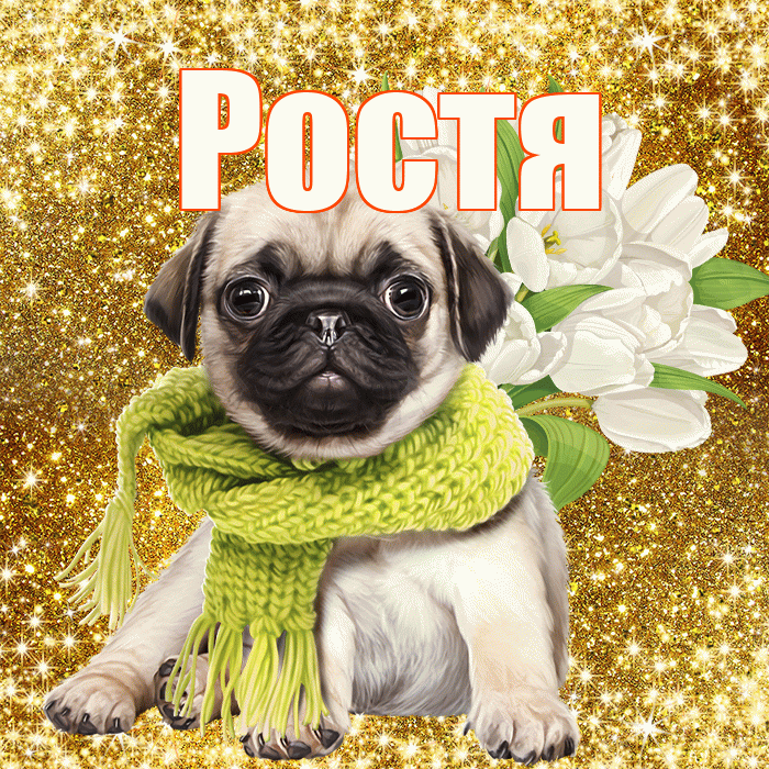 Ростя! С первым воскресеньем весны! Красивая открытка Ростившему!