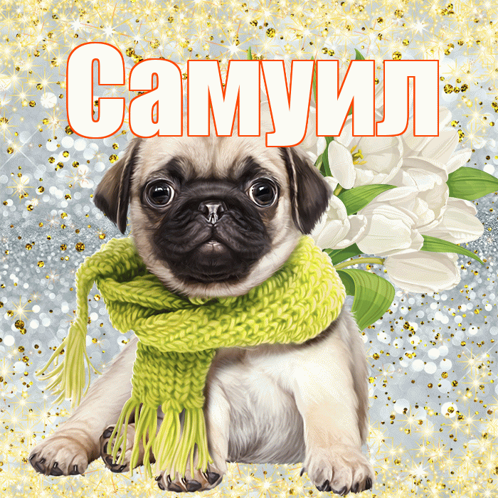 Самуил! С первым воскресеньем весны! Красивая открытка Самуилу!