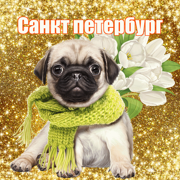 Санкт петербург! С первым воскресеньем весны! Красивая открытка !