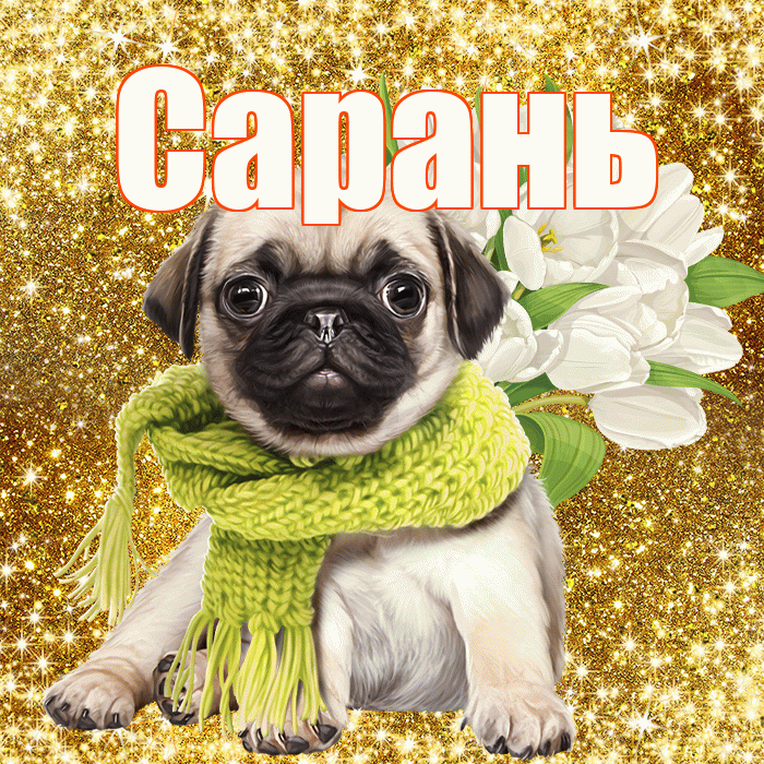 Сарань! С первым воскресеньем весны! Красивая открытка Сараню!