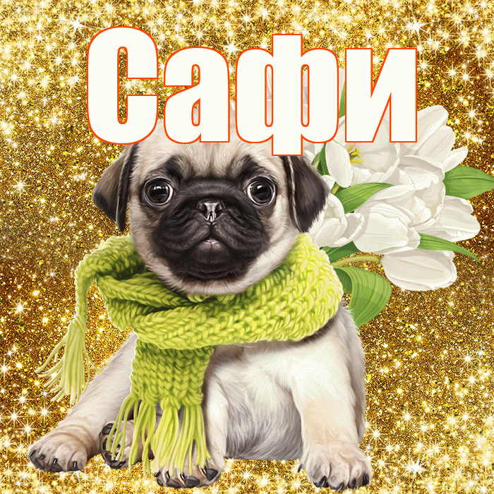 Сафи! С первым воскресеньем весны! Красивая открытка !