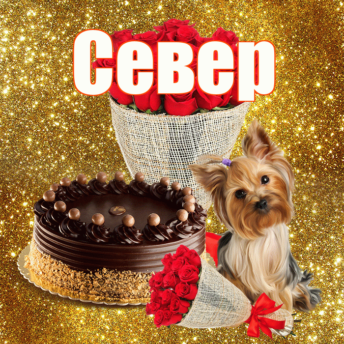 Север! С первым воскресеньем весны! Красивая открытка Северу!