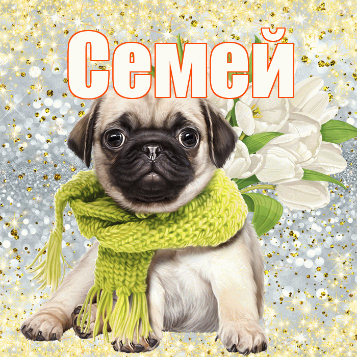 Семей! С первым воскресеньем весны! Красивая открытка Семею!
