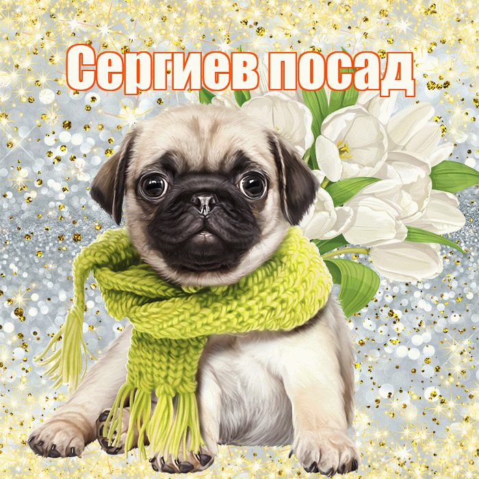 Сергиев посад! С первым воскресеньем весны! Красивая открытка !
