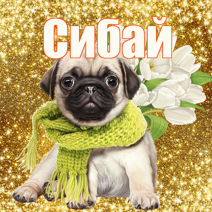 Сибай! С первым воскресеньем весны! Красивая открытка Сибаю!