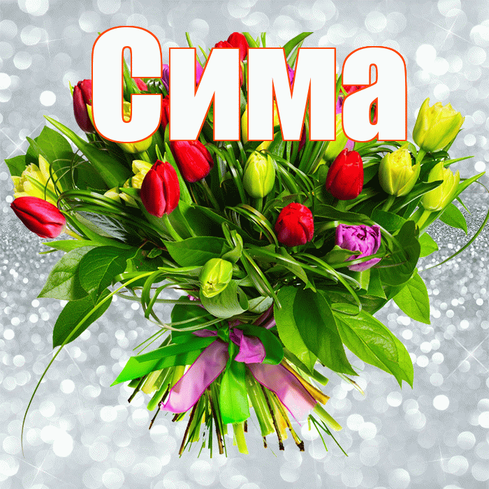 Сима! С первым воскресеньем весны! Красивая открытка Симе!