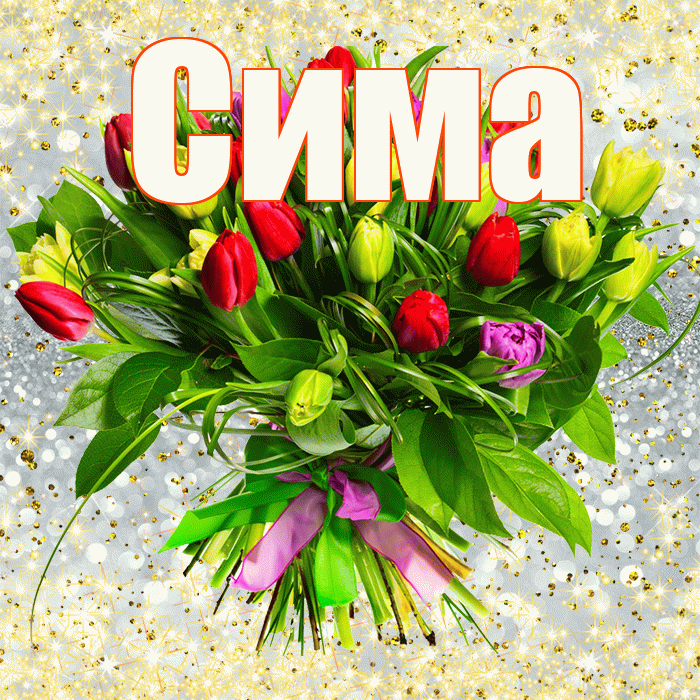 Сима! С первым воскресеньем весны! Красивая открытка Симе!