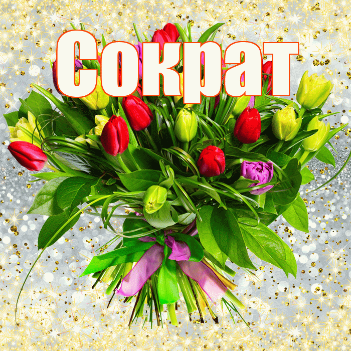 Сократ! С первым воскресеньем весны! Красивая открытка Сократу!