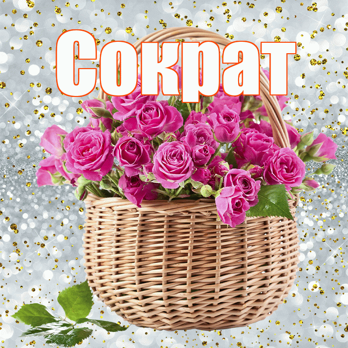 Сократ! С первым воскресеньем весны! Красивая открытка Сократу!