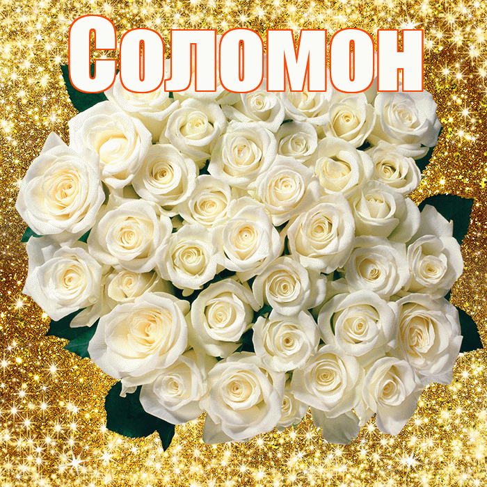 Соломон! С первым воскресеньем весны! Красивая открытка Соломону!