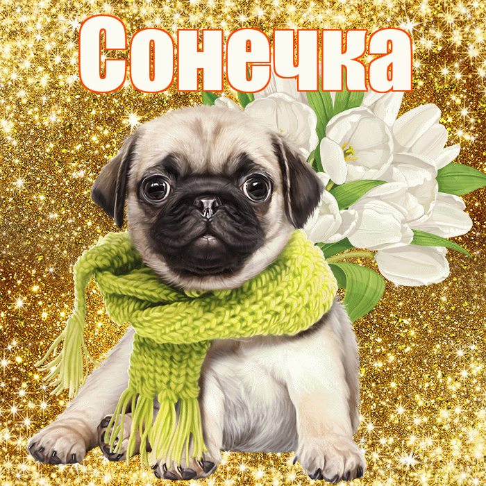 Сонечка! С первым воскресеньем весны! Красивая открытка !