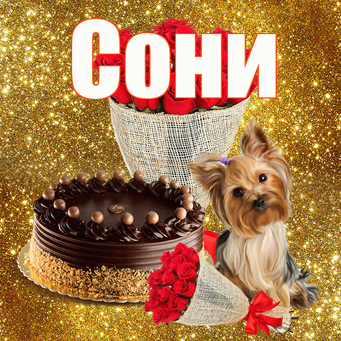 Сони! С первым воскресеньем весны! Красивая открытка !