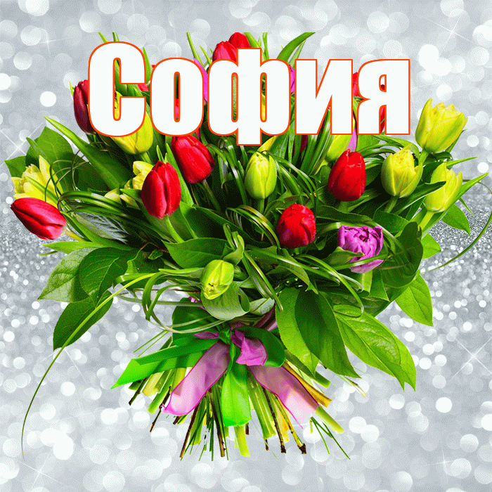 София! С первым воскресеньем весны! Красивая открытка Софии!
