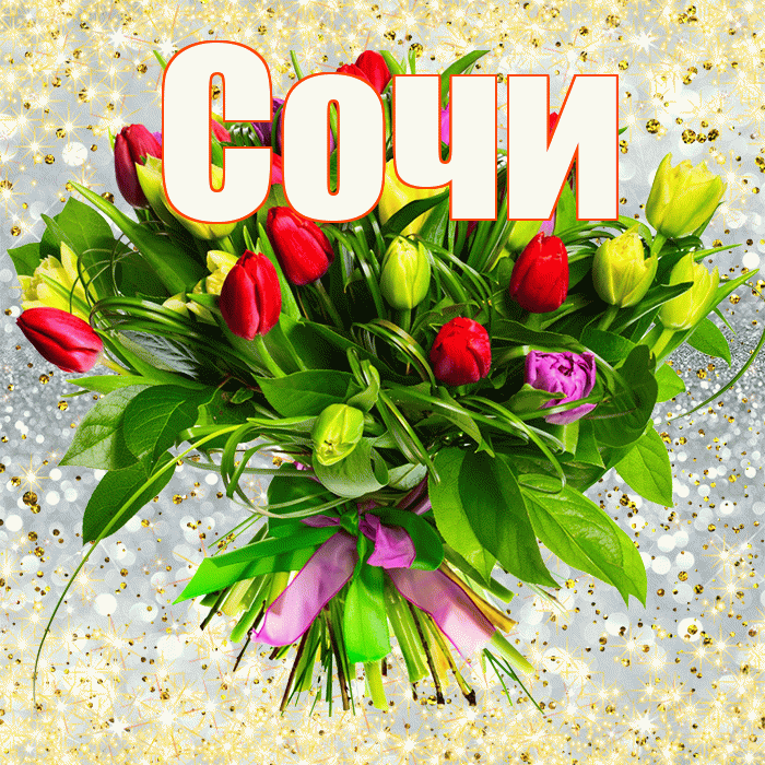 Сочи! С первым воскресеньем весны! Красивая открытка Сочи!
