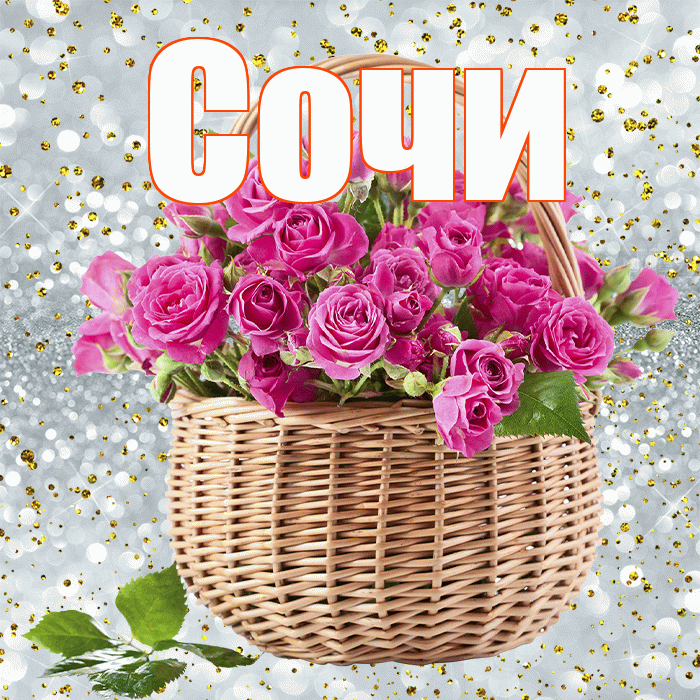 Сочи! С первым воскресеньем весны! Красивая открытка Сочи!