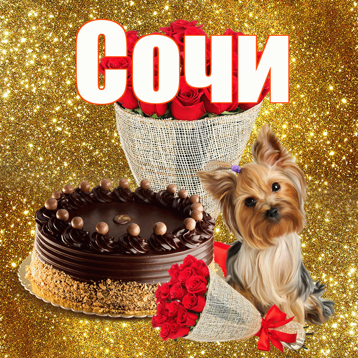 Сочи! С первым воскресеньем весны! Красивая открытка Сочи!
