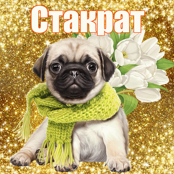 Стакрат! С первым воскресеньем весны! Красивая открытка Стакрату!