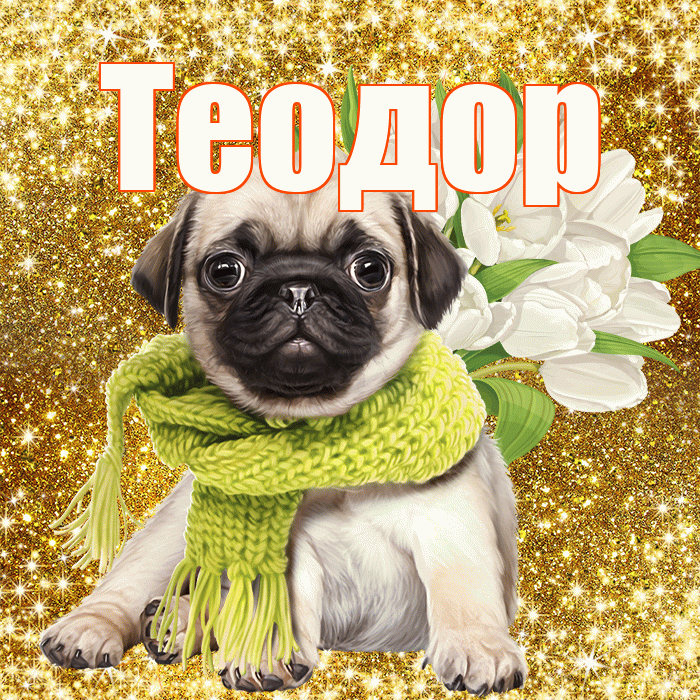 Теодор! С первым воскресеньем весны! Красивая открытка Теодору!