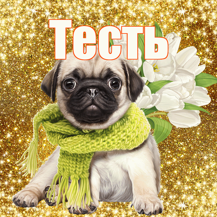 Тесть! С первым воскресеньем весны! Красивая открытка Тестю!