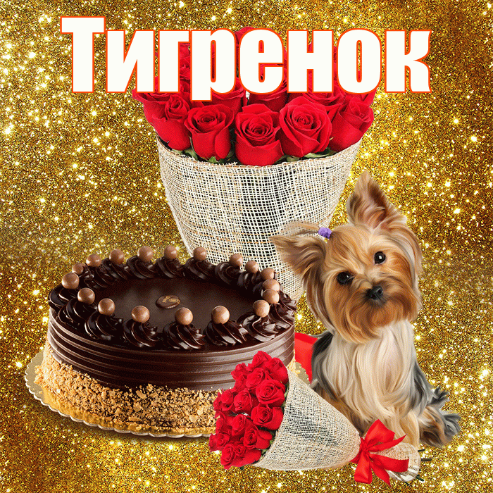 Тигренок! С первым воскресеньем весны! Красивая открытка Тигренку!