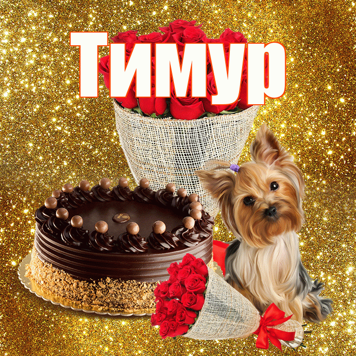 Тимур! С первым воскресеньем весны! Красивая открытка Тимуру!