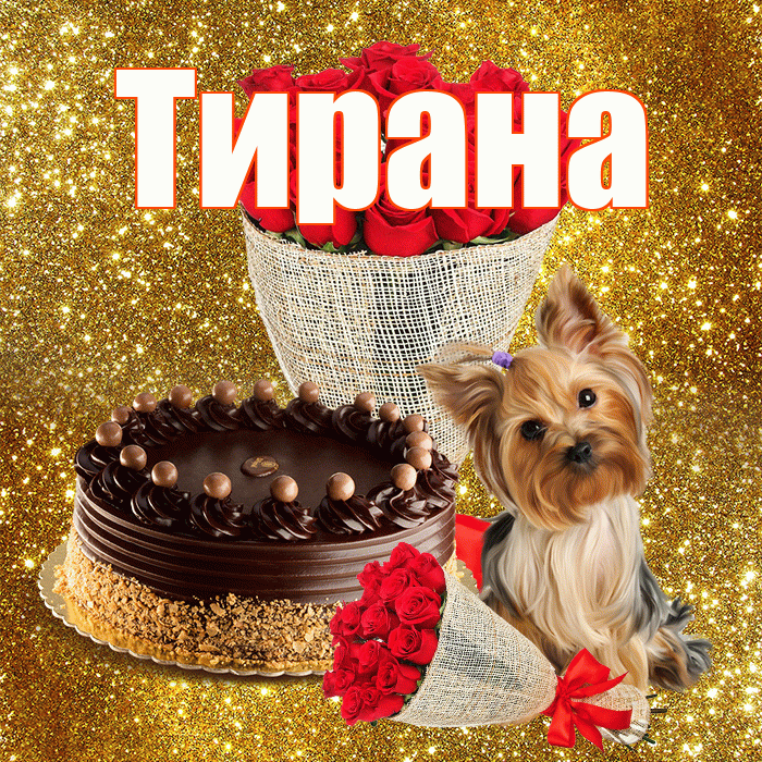 Тирана! С первым воскресеньем весны! Красивая открытка Тиране!