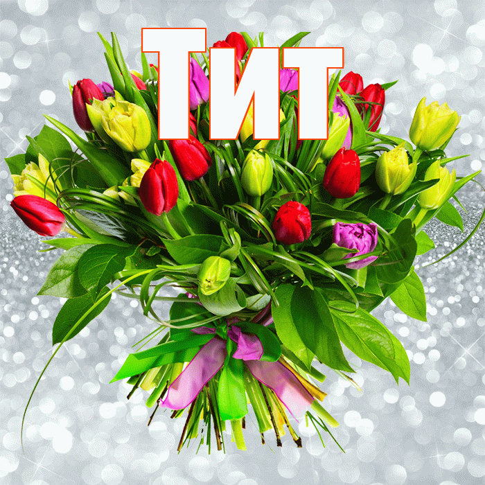 Тит! С первым воскресеньем весны! Красивая открытка Титу!