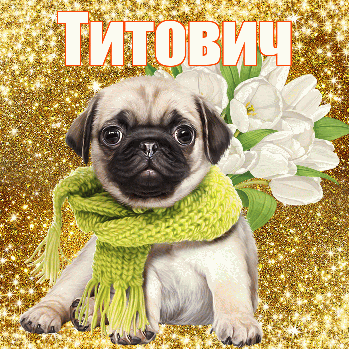 Титович! С первым воскресеньем весны! Красивая открытка Титовичу!
