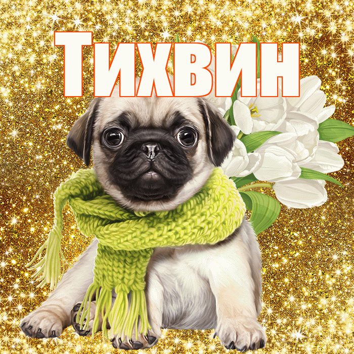 Тихвин! С первым воскресеньем весны! Красивая открытка Тихвину!