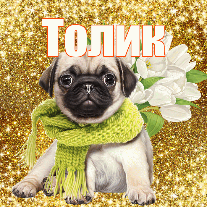 Толик! С первым воскресеньем весны! Красивая открытка !