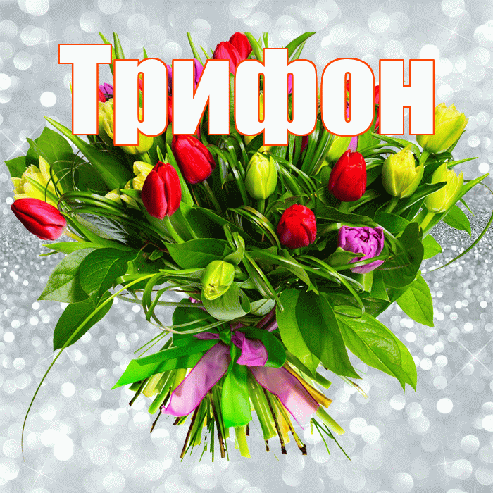 Трифон! С первым воскресеньем весны! Красивая открытка Трифону!