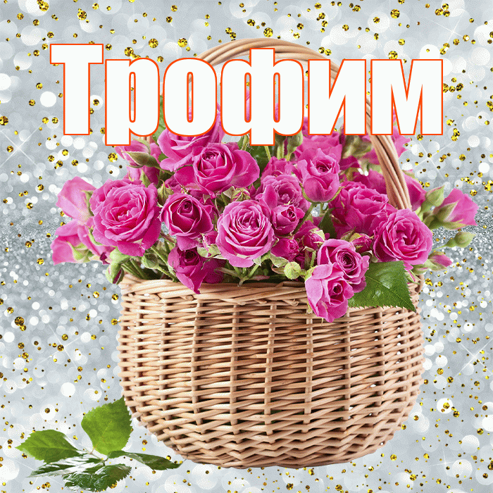Трофим! С первым воскресеньем весны! Красивая открытка Трофиму!