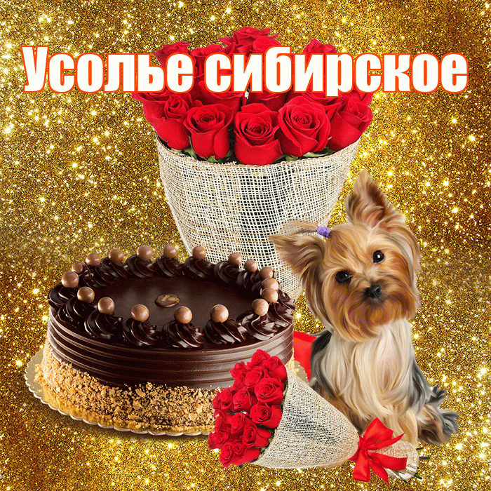 Усолье сибирское! С первым воскресеньем весны! Красивая открытка !