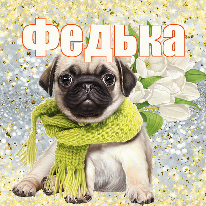 Федька! С первым воскресеньем весны! Красивая открытка !