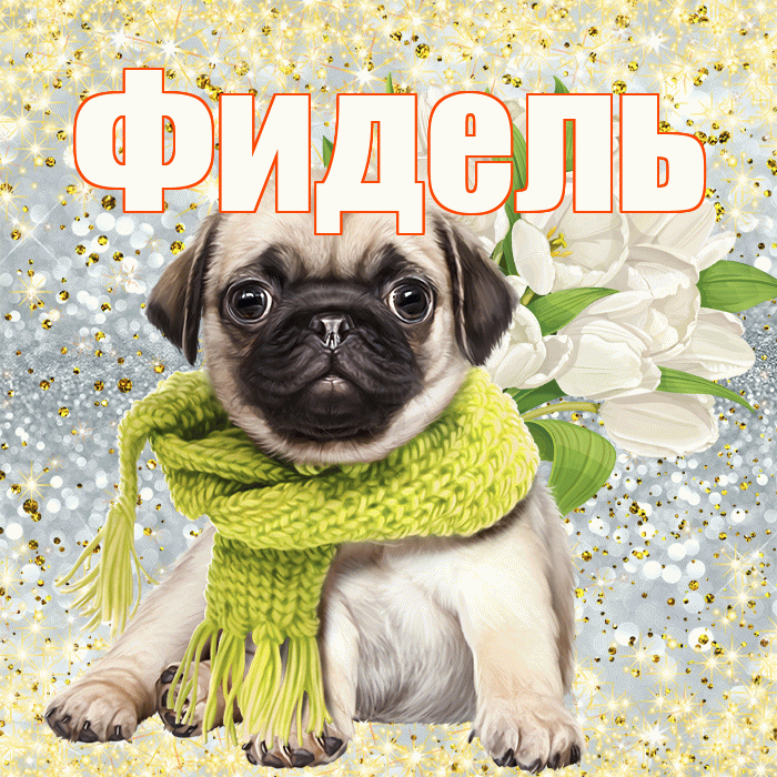 Фидель! С первым воскресеньем весны! Красивая открытка Фиделю!