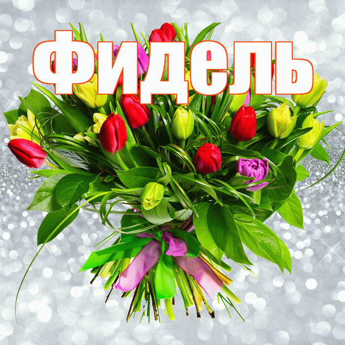 Фидель! С первым воскресеньем весны! Красивая открытка Фиделю!