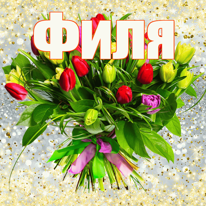 Филя! С первым воскресеньем весны! Красивая открытка Филе!
