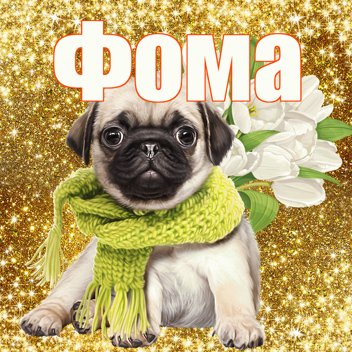 Фома! С первым воскресеньем весны! Красивая открытка Фоме!