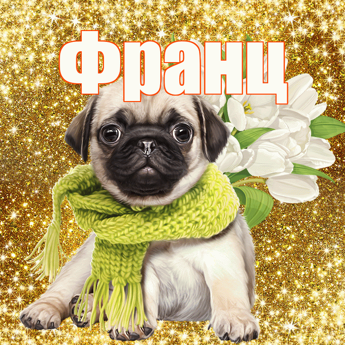 Франц! С первым воскресеньем весны! Красивая открытка Францу!