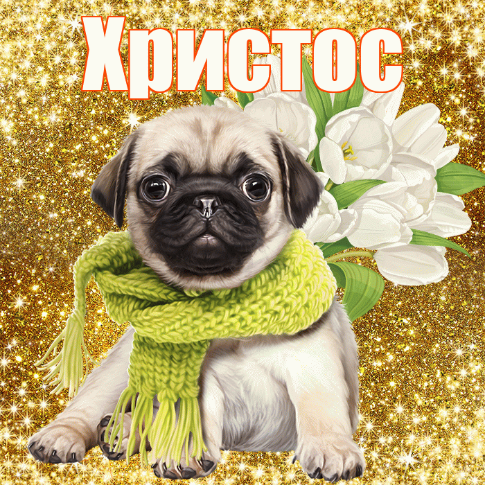Христос! С первым воскресеньем весны! Красивая открытка Христу!