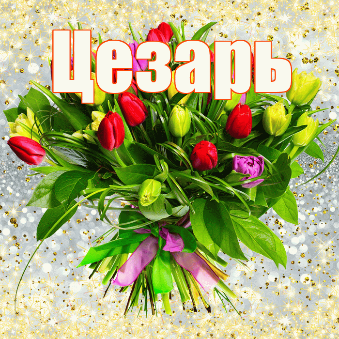 Цезарь! С первым воскресеньем весны! Красивая открытка Цезарю!