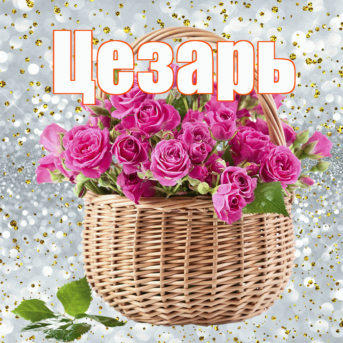 Цезарь! С первым воскресеньем весны! Красивая открытка Цезарю!