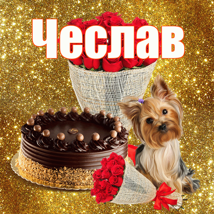 Чеслав! С первым воскресеньем весны! Красивая открытка Чеславу!