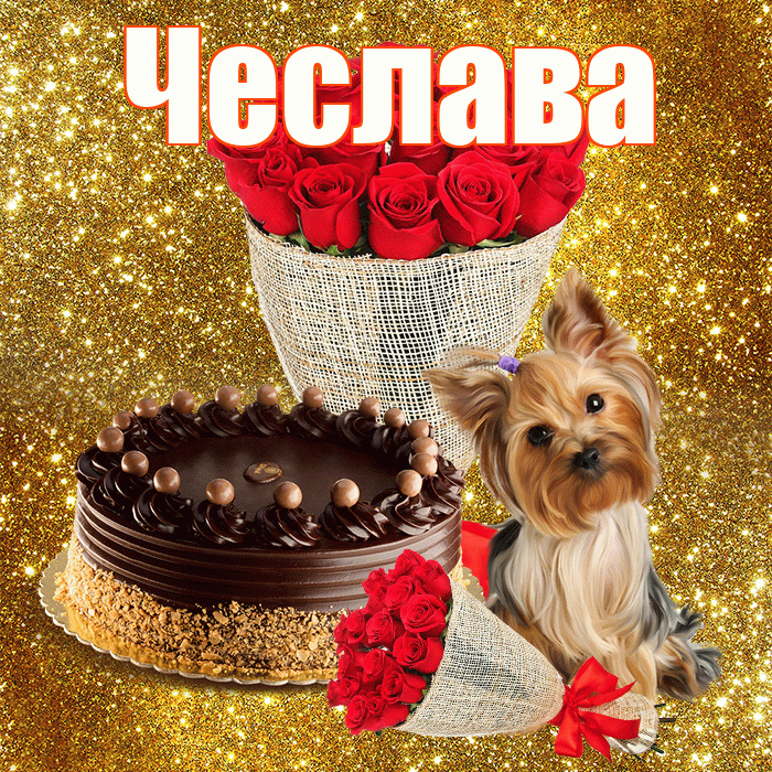 Чеслава! С первым воскресеньем весны! Красивая открытка Чеславовне!